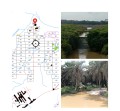 PT. Sari Lembah Subur diduga merusak DAS sungai Tanglo, warga meminta Polda Riau turun tangan.