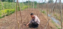 Polsek Peranap Terus Dorong Personel Optimalkan Sektor Pertanian dan Perkebunan Masyarakat