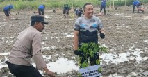 Kapolresta Pekanbaru Hadiri Penanaman 100 Pohon di Bantaran Sungai Siak