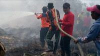 Kebakaran Hutan di Pelalawan Meluas, Tim Gabungan Berjuang Padamkan Titik Api Baru