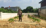 Hadir untuk Ketahanan Pangan, Polsek Payung Sekaki Perkuat Sinergi dengan Petani