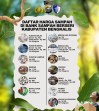 Polres Bengkalis Luncurkan “Green Service SIM”: Tukar Sampah Jadi SIM