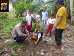 Penanaman Pohon oleh Kapolsubsektor Pelalawan Dukung Program Kapolda Riau