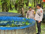 Polsek Lirik Cek Budidaya 15.000 Ekor Ikan di Desa Rejosari