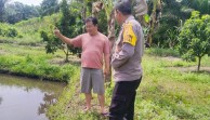 Dukung Ketahanan Pangan Nasional, Bhabinkamtibmas Rumbai Barat Sambangi Kolam Gurami Warga