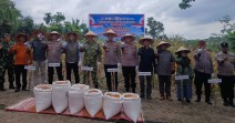 Polsek Kampar Turun ke Ladang, Panen Jagung Bersama Warga Ranah Singkuang