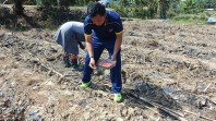 Swasembada Pangan Dengan Jagung Pipil, Ini Yang Dilakukan Polres Inhu Antisipasi Gagal Panen