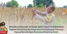 Jelang Panen, Bhabinkamtibmas Air Dingin Turun ke Lahan Bantu Petani Kupas Jagung
