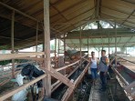 Polsek Lubuk Batu Jaya Sambangi Peternak Kambing di Desa Pondok Gelugur