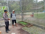 Polsek Lubuk Batu Jaya Dukung Ketahanan Pangan Nasional.