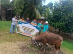 Wujud Kepedulian, PT SPP Tebar Kebahagiaan Idul Adha Lewat Penyaluran Hewan Kurban ke Desa Sekitar