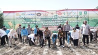 Polda Riau Tanam Jagung Serentak di 12 Daerah, Dukung Ketahanan Pangan Nasional