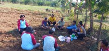 Dukung Ketahanan Pangan, Polsek Peranap Monitoring Lahan Jagung PT SPP