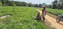 Bhabinkamtibmas Polsek Kelayang Sambangi Petani Semangka di Desa Kota Baru