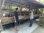 Bhabinkamtibmas Polsek Lubuk Batu Jaya Sambangi Peternak di Desa Kulim Jaya