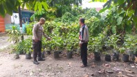 Bhabinkamtibmas Tampan Aktif Dampingi Warga Kelola Lahan Pertanian