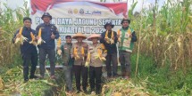 Polsek Teluk Meranti Panen Raya Jagung di Desa Kuala Panduk, Wujud Dukungan Swasembada Pangan 2026