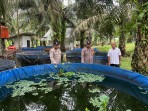 Polsek Lirik Cek Budidaya Ikan Nila dan Lele di Desa Rejosari
