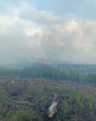 Puluhan Hektar Lahan Kembali Terbakar Di Pelalawan