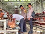 Polsek Lirik Cek Peternakan Ayam Petelur Binaan di Desa Rejosari