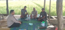 Polri Dukung Ketahanan Pangan, Polsek Kelayang Tinjau Lahan Jagung di Desa Teluk Sejuah