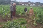 Kapolsek Kelayang Melalui Bhabinkamtibmas Ajak Warga Rimba Seminai Optimalkan Lahan