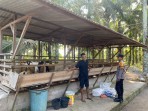 Personel Polsek Lubuk Batu Jaya Sambangi Peternak Sapi di Desa Air Putih