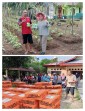Pemdes Pulau Muda Luruskan Isu, Ajak Masyarakat Tak Terpengaruh Hoaks Dana Desa