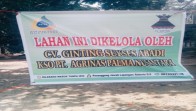 Sawit Dipanen Secara Paksa, Warga Rokan Hulu Resah: “Tiba-Tiba Masuk, Pasang Baliho, Langsung Panen!